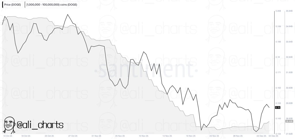 Dogecoin whale activity