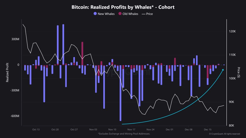 Bitcoin Realized Profit by Whales