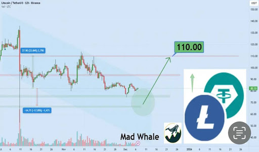 MadWhale's Litecoin chart because why not?