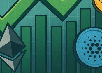 ミームコイン：12月の相場をリードする期待の新勢力