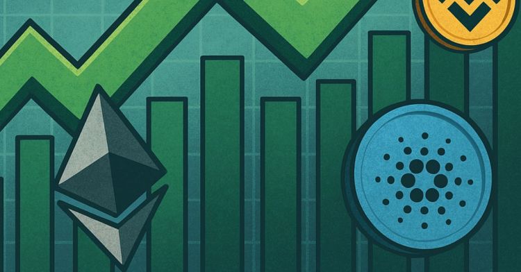 ミームコイン：12月の相場をリードする期待の新勢力