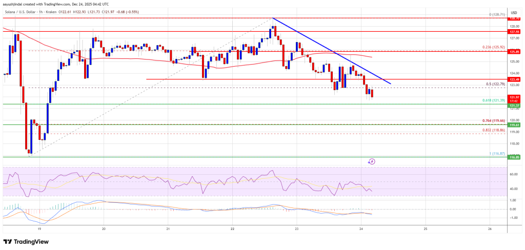 Solana (SOL) At Risk of Fresh Bearish Wave, Traders Turn Cautious