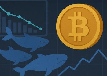 Bitcoin Whales Refuse to Sell: Historic Signal Emerges As Binance CDD Drops To 2017 Levels