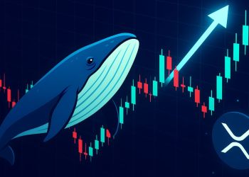 XRP Whale Activity Spikes At The Bottom – A Classic Pre-Rally Signal