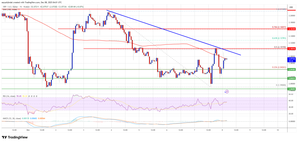 XRP Price Struggles at Resistance With Signals Hinting at a Possible New Decline