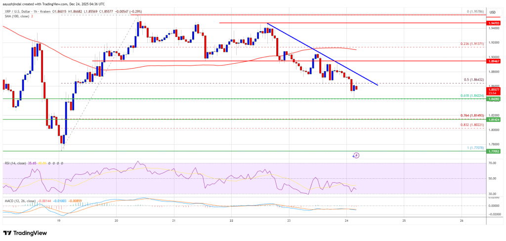 XRP Price Slides Under Support, Bearish Continuation Signals Emerge