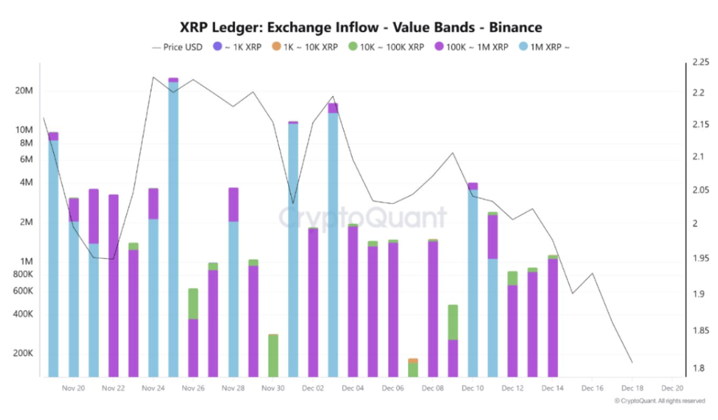 Whale Inflows Dampen XRP ETF Optimism As Selling Pressure Persists