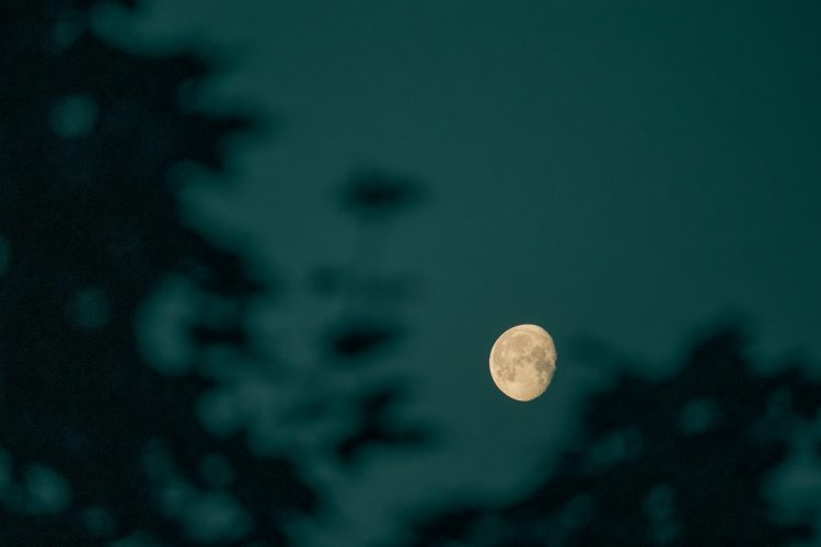 Bitcoin Headed For $200 Trillion? CEO Makes Bold Prediction - NewsBTC | Related Crypto Article