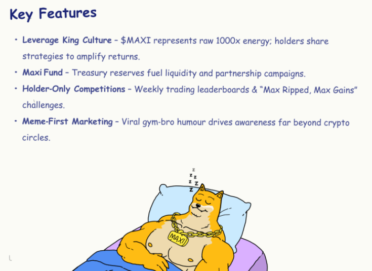 Maxi Doge key features including future competition elements. 
