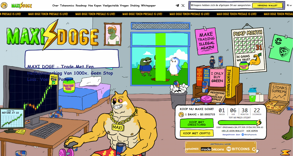 Maxi Doge als case study: high-beta speeltje in een mogelijke mega-bull run