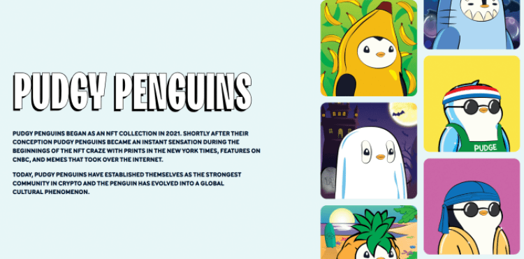 Pudgy Penguins brand explanation. 