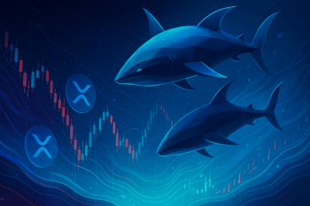 XRP Whales