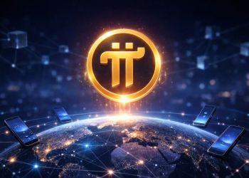 パイネットワーク 価格