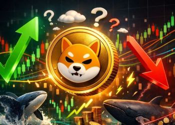 30％急騰後の不透明感、本格回復か一時的反発か