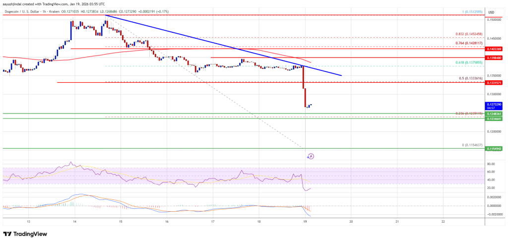 Dogecoin (DOGE) Red Prints Return, Resistance Could Cap Any Recovery