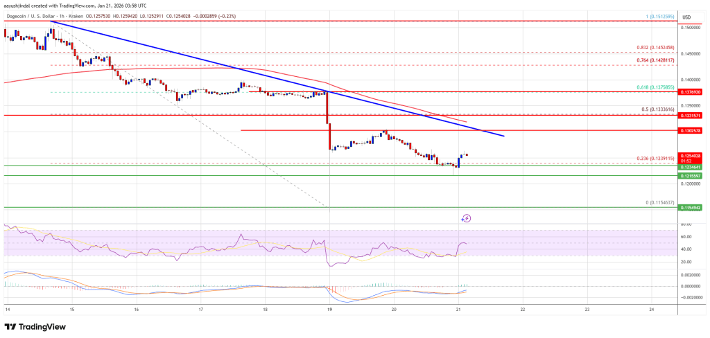 Dogecoin (DOGE) Rebound Looks Fragile With Multiple Hurdles Ahead