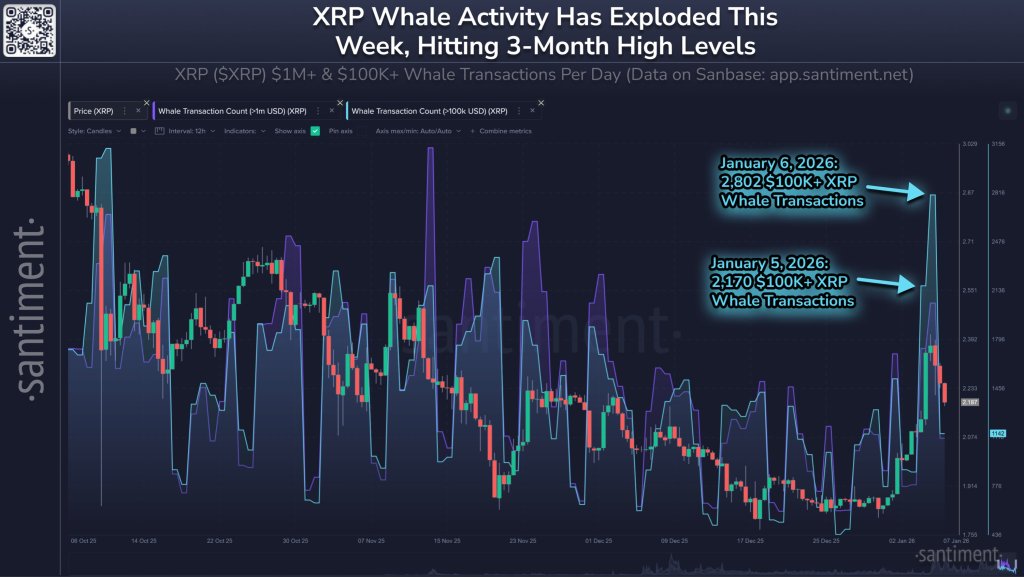XRP Whales Wake Up: $100,000+ Transfers Hit 3-Month High