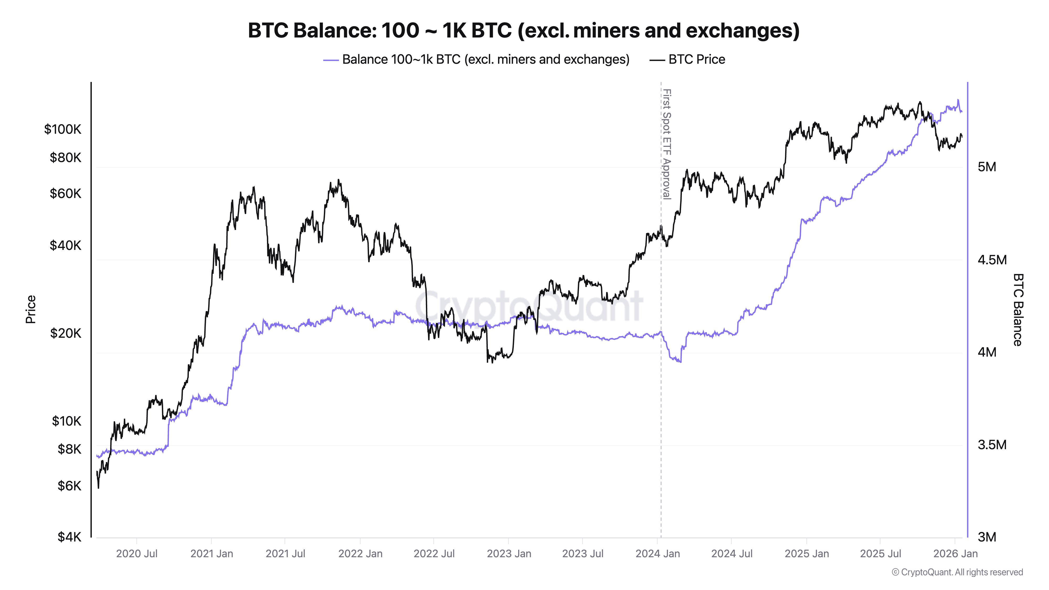 Bitcoin Balance: 100-1,000 BTC