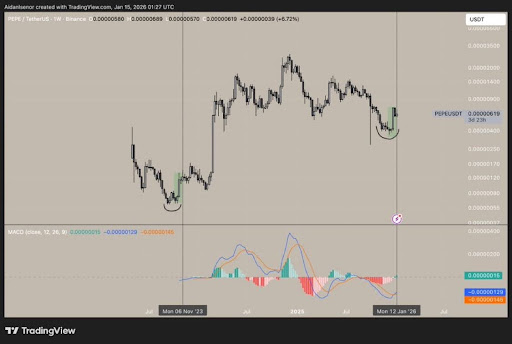PEPE Price Could Soar 3,000% If The Bottom Is In; Analyst Explains