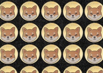 Shiba Inu