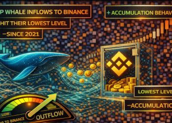 XRP Whale Inflows To Binance Hit Their Lowest Level Since 2021: Accumulation Behavior?