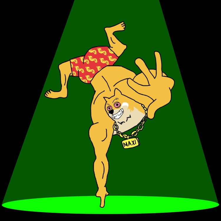 Venezuelan Stocks Rise 44x in 2026 A Higher-Alpha Play Emerges in Crypto