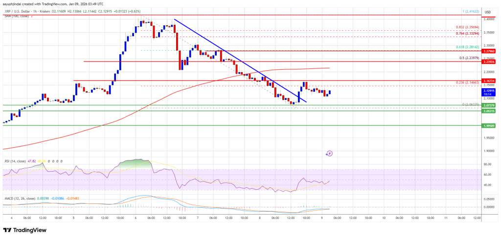 XRP Price Pushes for Gains, Resistance Keeps the Market Guessing