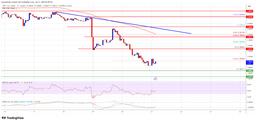 XRP Price Under Pressure As Bears Control The Trend