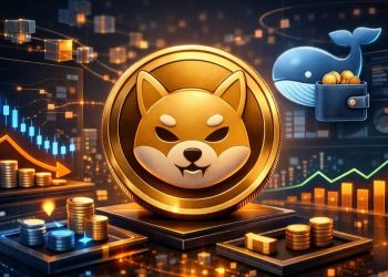 シバコイン 今後:取引所残高異変で蓄積フェーズ入りか、次の局面を検証