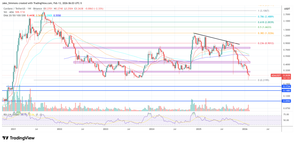 Cardano Founder Hoskinson Warns Of 90-180 Days Of Pain Ahead: Here’s Why