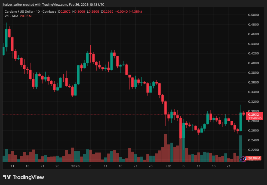 Cardano (ADA) Among Today’s Top Gainers as Institutional Buying Aligns With Technical Breakout