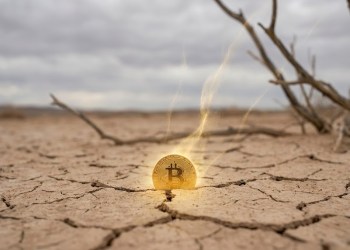 Bitcoin Price Attempts A Comeback
