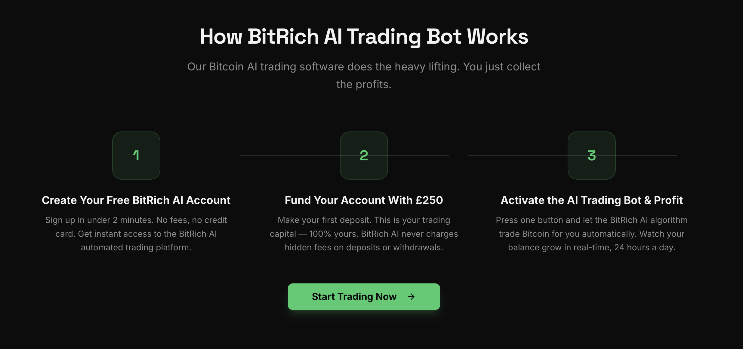 Revisión de BitRich AI