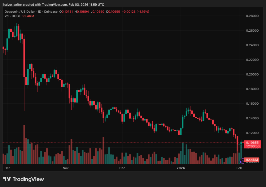 Dogecoin DOGE DOGEUSD DOGEUSD_2026-02-03_12-59-10