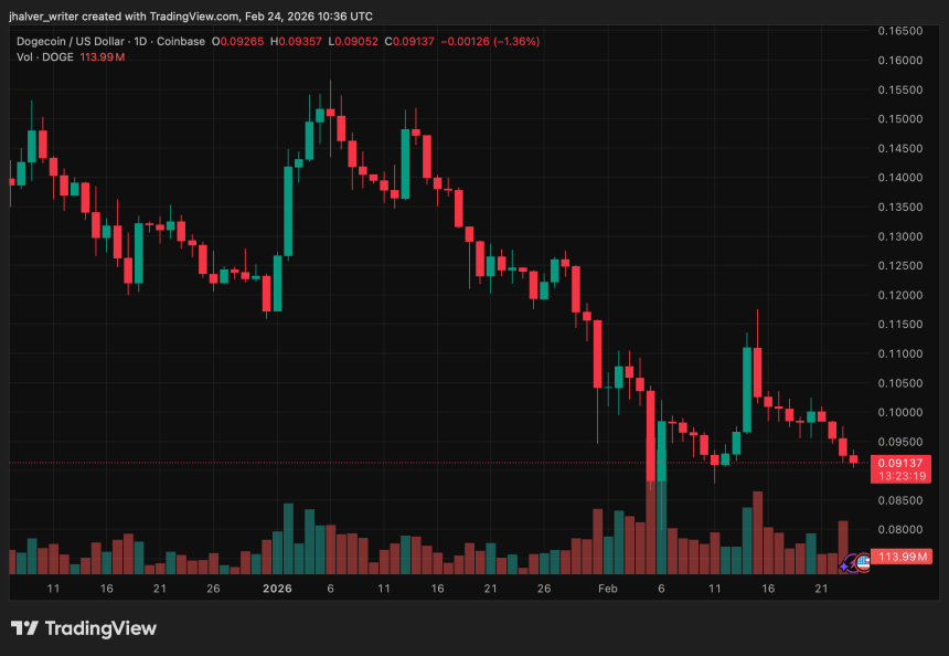 Dogecoin DOGE DOGEUSD DOGEUSD_2026-02-24_11-36-41
