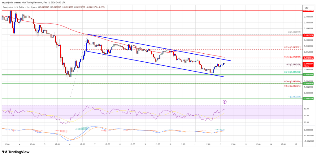 Dogecoin (DOGE) Stumbles Lower, Market Awaits Trend Shift Signal