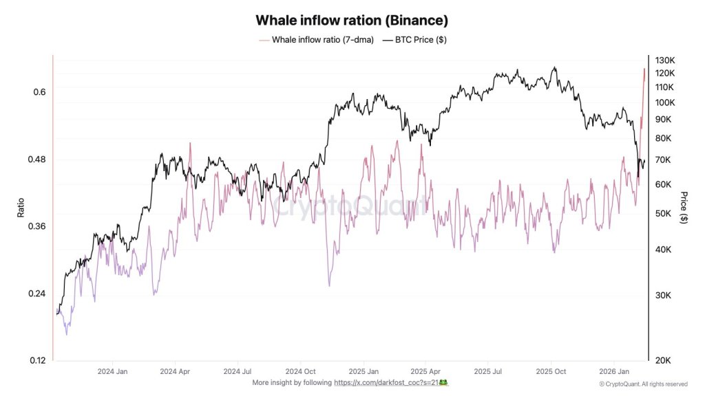 Bitcoin Whales Flood Binance As Correction Deepens: On-Chain Data Shows