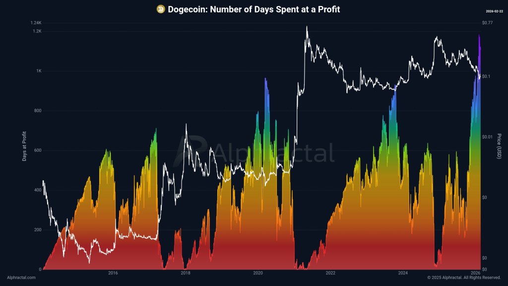 Dogecoin Sets A New Record In A Key Cycle Indicator: Bottom In?
