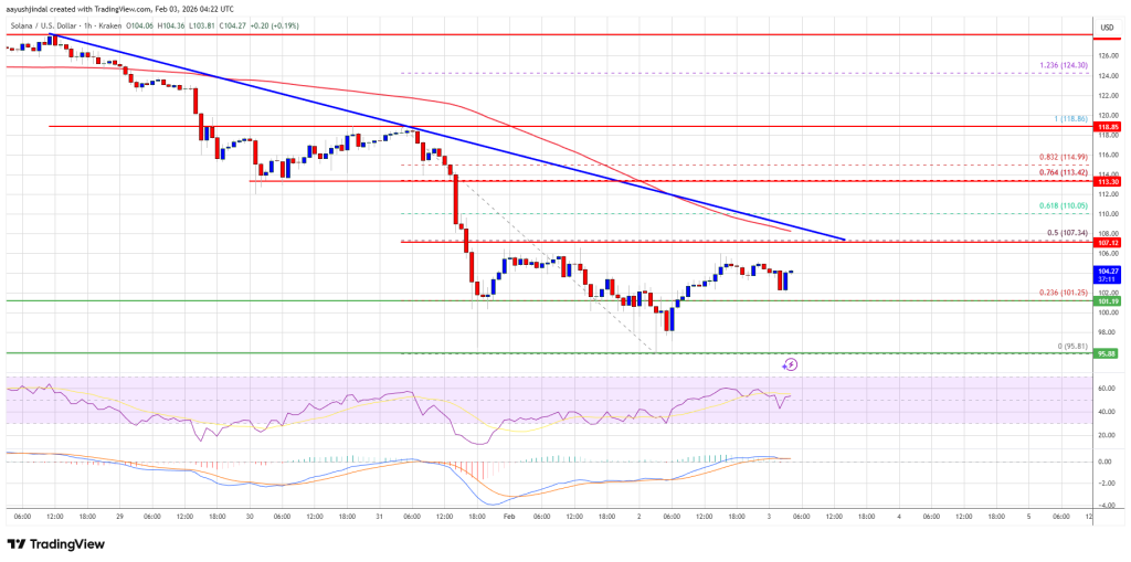 Solana (SOL) Keeps 0 Alive, Recovery Push Faces First Test