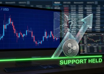 XRP Price Steadies Above Support