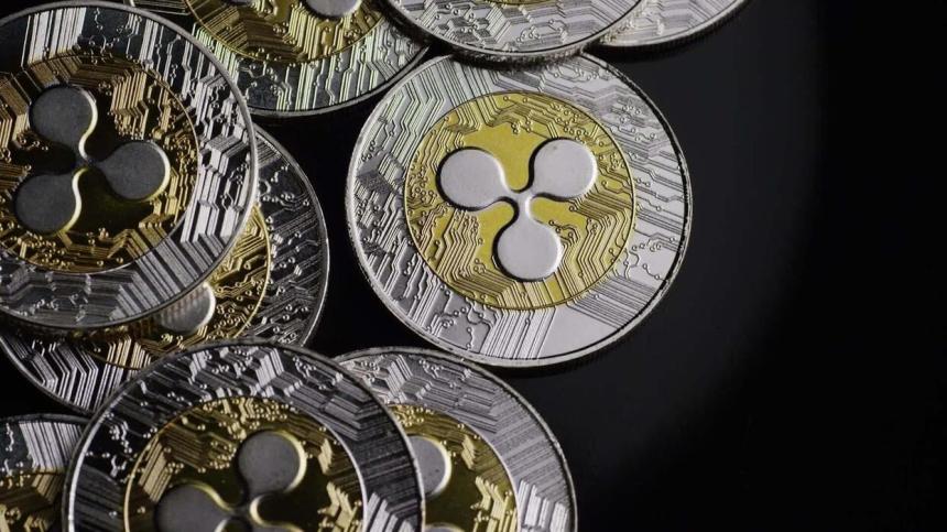 XRP Emerging As Safe Haven? CEO Points To Steady Inflows As BTC, ETH Struggle