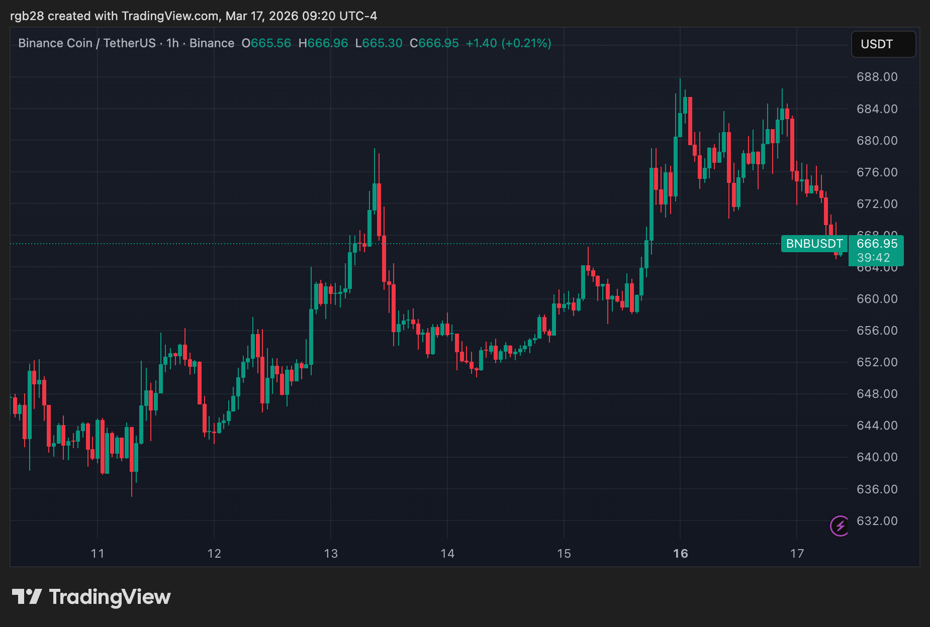 BNB Chain Performance Chart