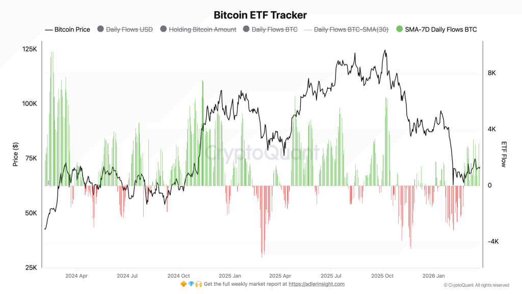 Bitcoin ETFs Buy 63,000 BTC In 30 Days As Retail Panic Selling Persists