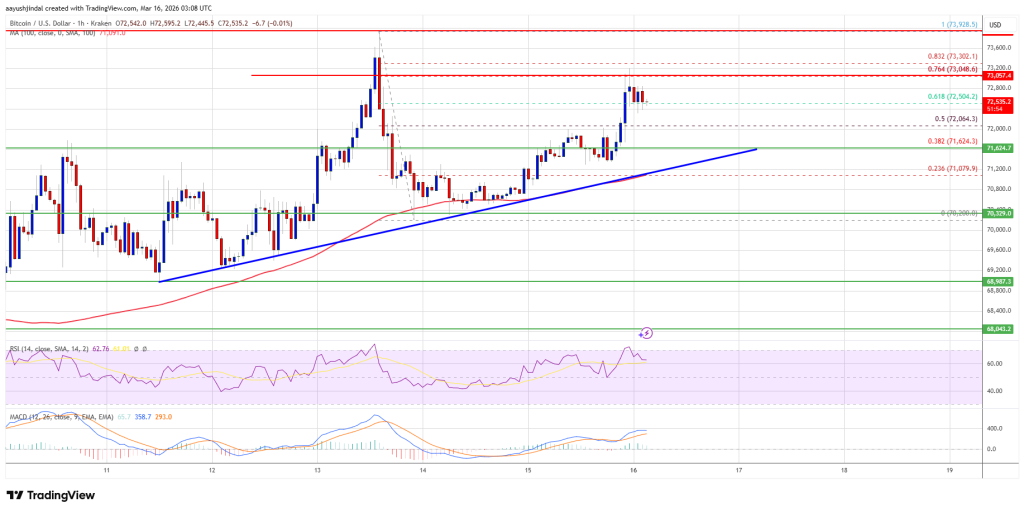 Bitcoin Price Climbs Again — Bulls Aim for New Monthly High