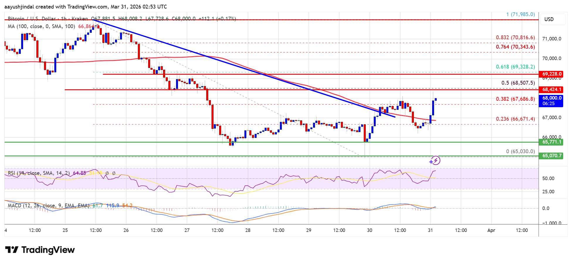 Bitcoin's tumultuous journey