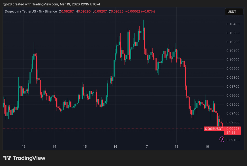 Dogecoin, doge, dogeusdt