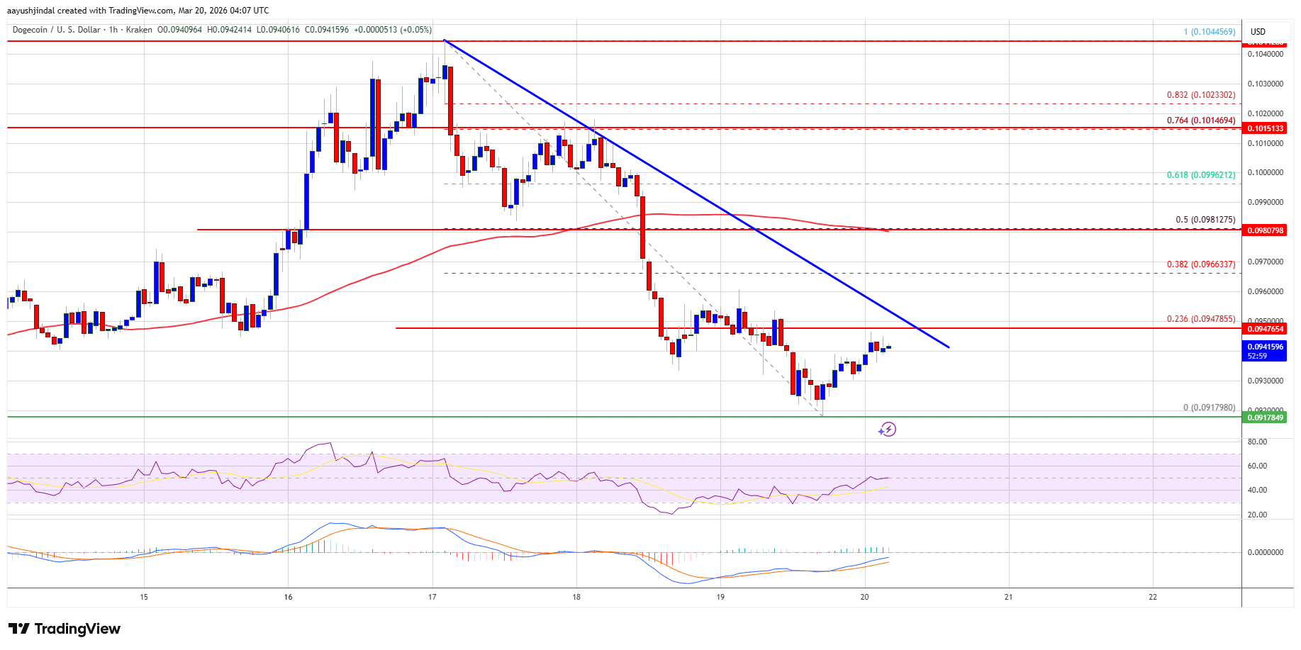 DOGE's rollercoaster chart