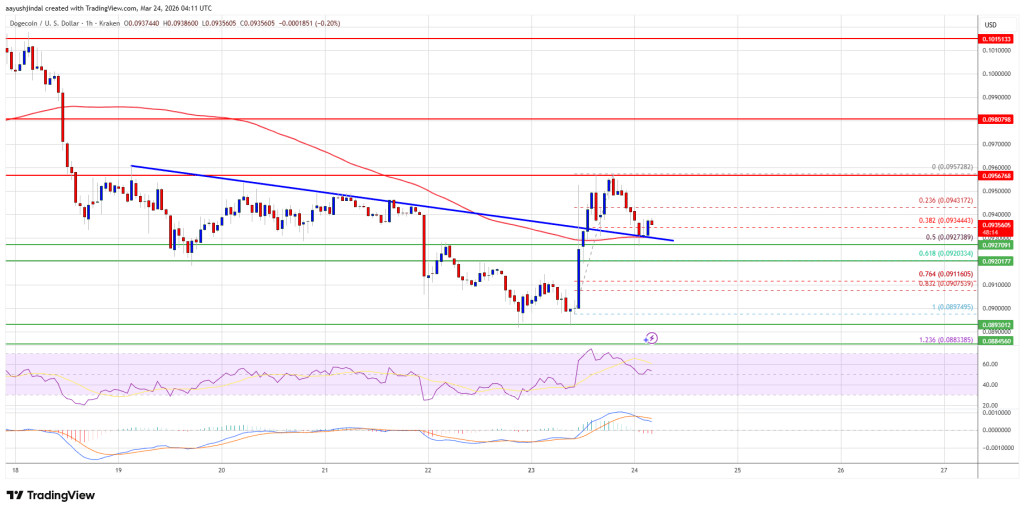 Dogecoin (DOGE) Targets Resistance, Bulls Eye Potential Upside Move