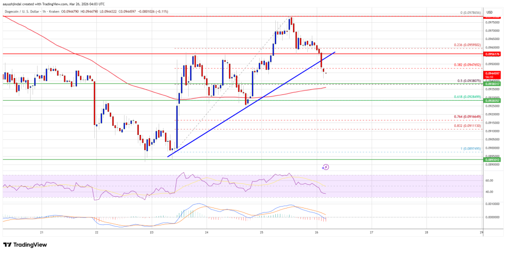 Dogecoin (DOGE) Stalls in Range, Bulls Fail to Seize Momentum
