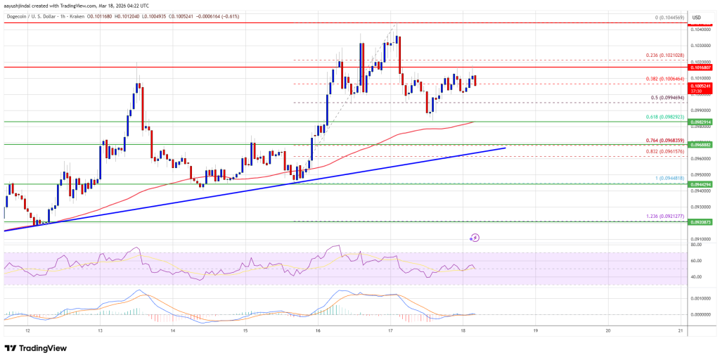 Dogecoin (DOGE) Retraces Gains — Bulls Guard Key Support Zone